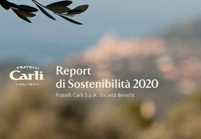 Rapport de Durabilité 2020