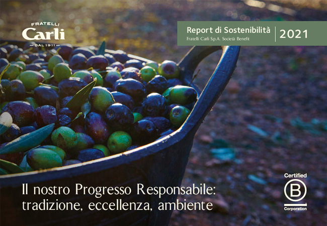 Rapport de Durabilité 2021