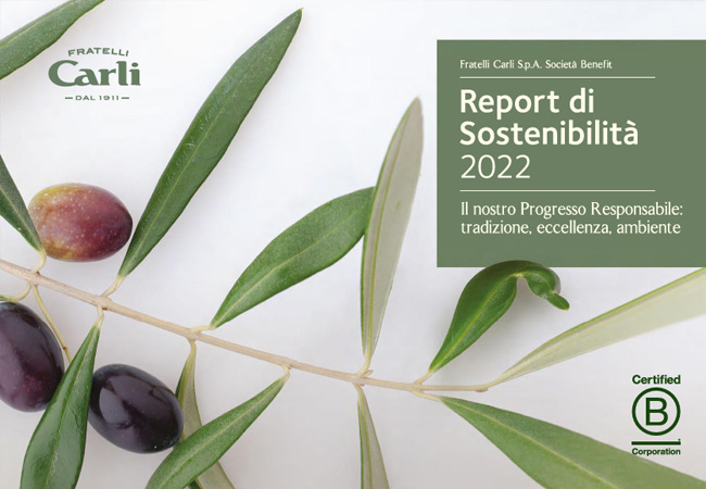 Rapport de Durabilité 2022