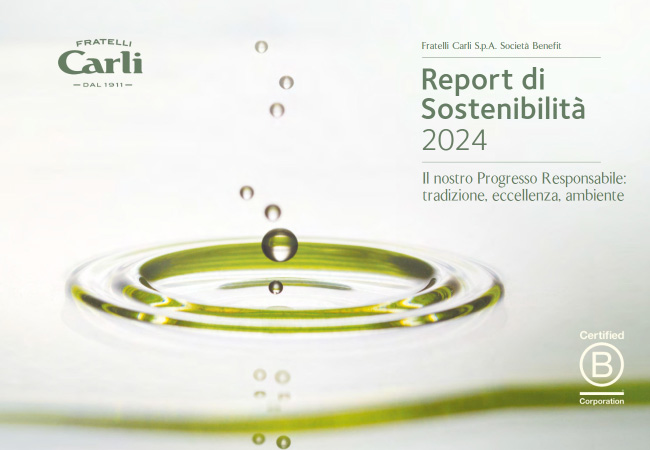 Rapport de Durabilité 2024