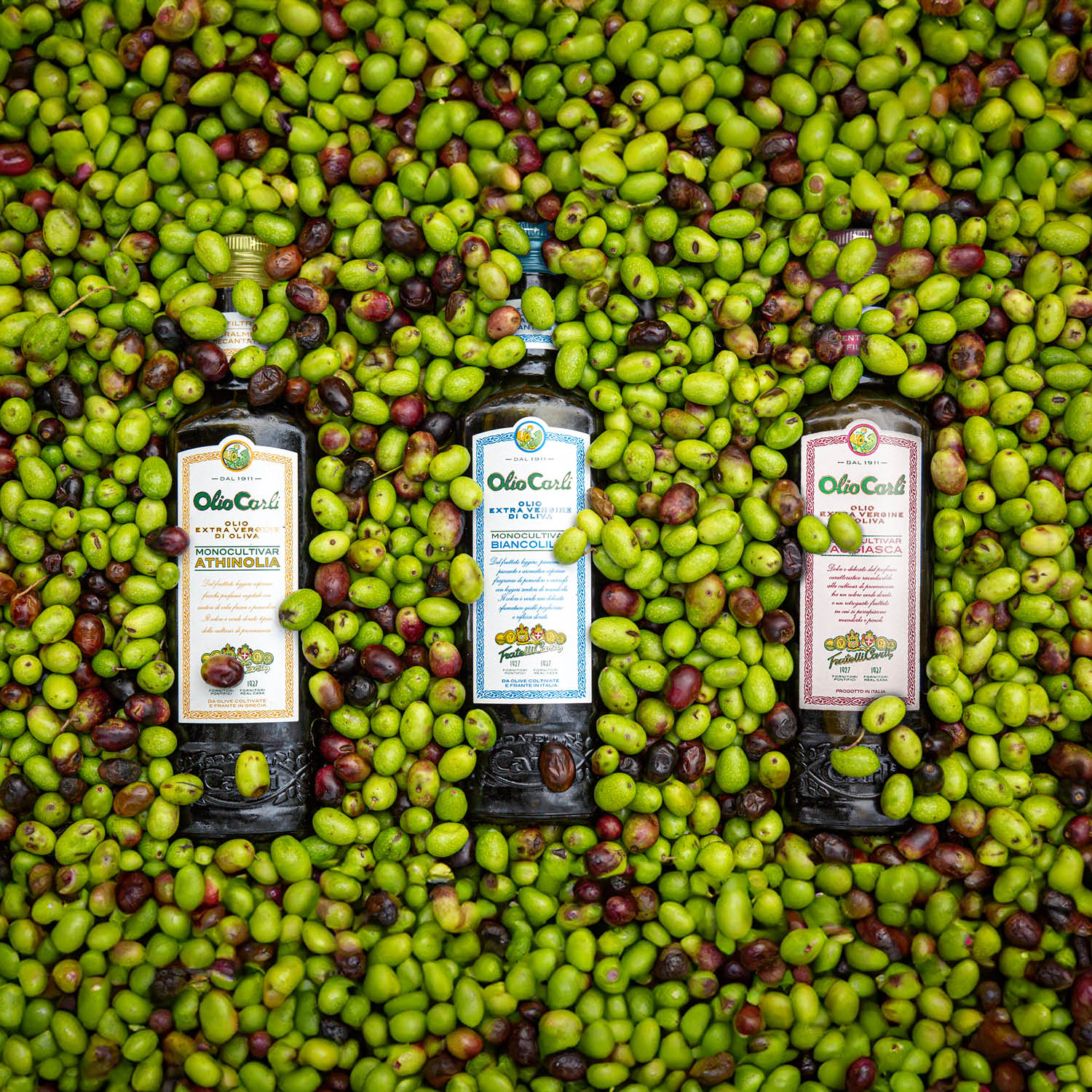 3 Huiles d’Olive Vierges Extra Monovariétales