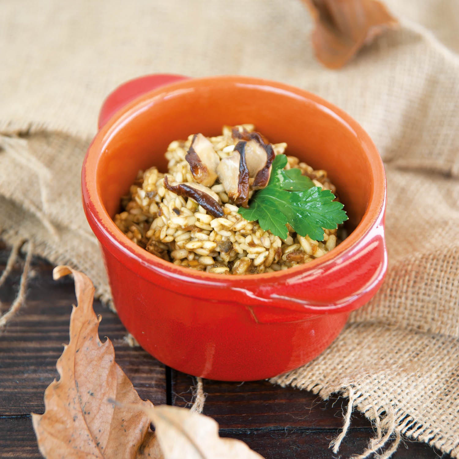Risotto aux Cèpes