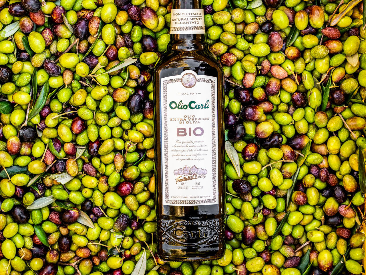 Bouteille d’Huile d’Olive BIO avec des olives