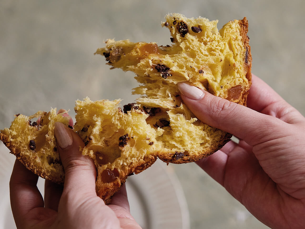 morceau de panettone au chocolat et orange dans les main d une femme
